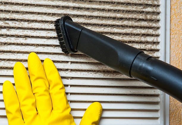 Best Home Air Vent Cleaning  in Mcadoo, PA